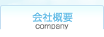 ЊTv company